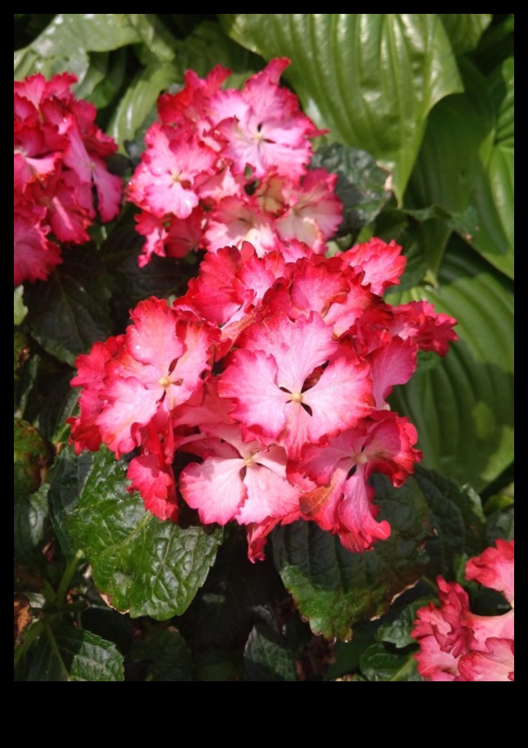 הרמוניה בגינה: טיפוח יופי עם טיפול מומחה