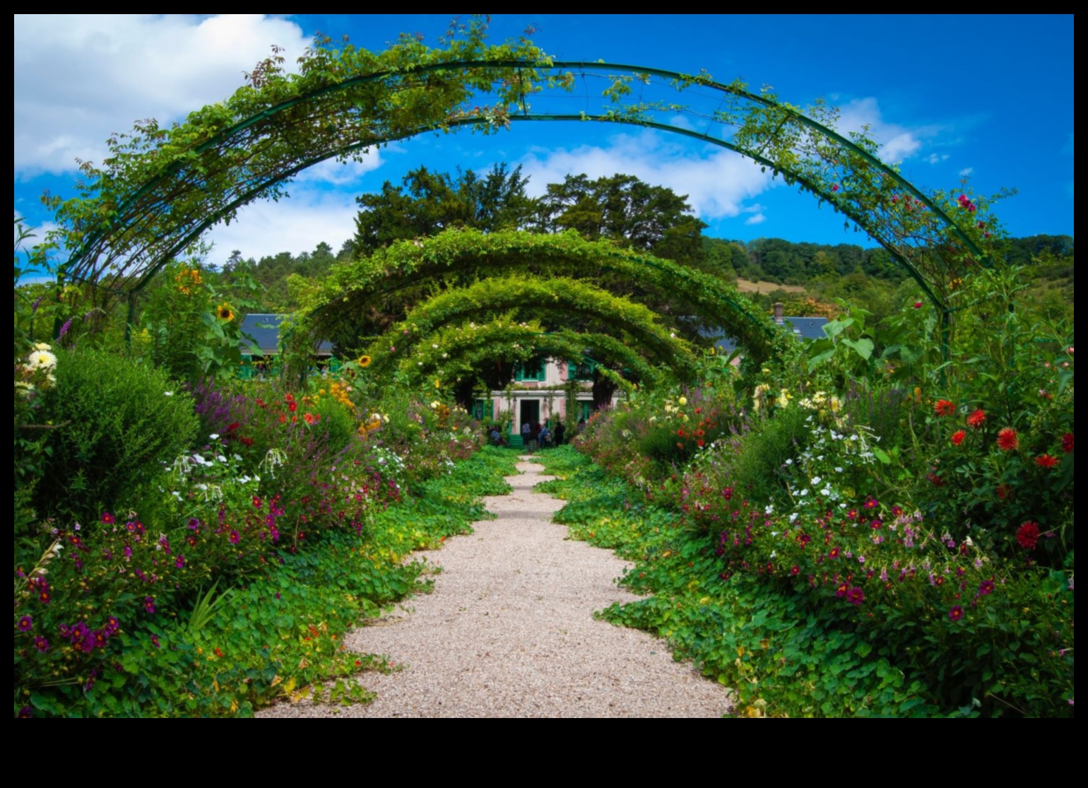 הרמוניה בגינה: טיפוח יופי עם טיפול מומחה