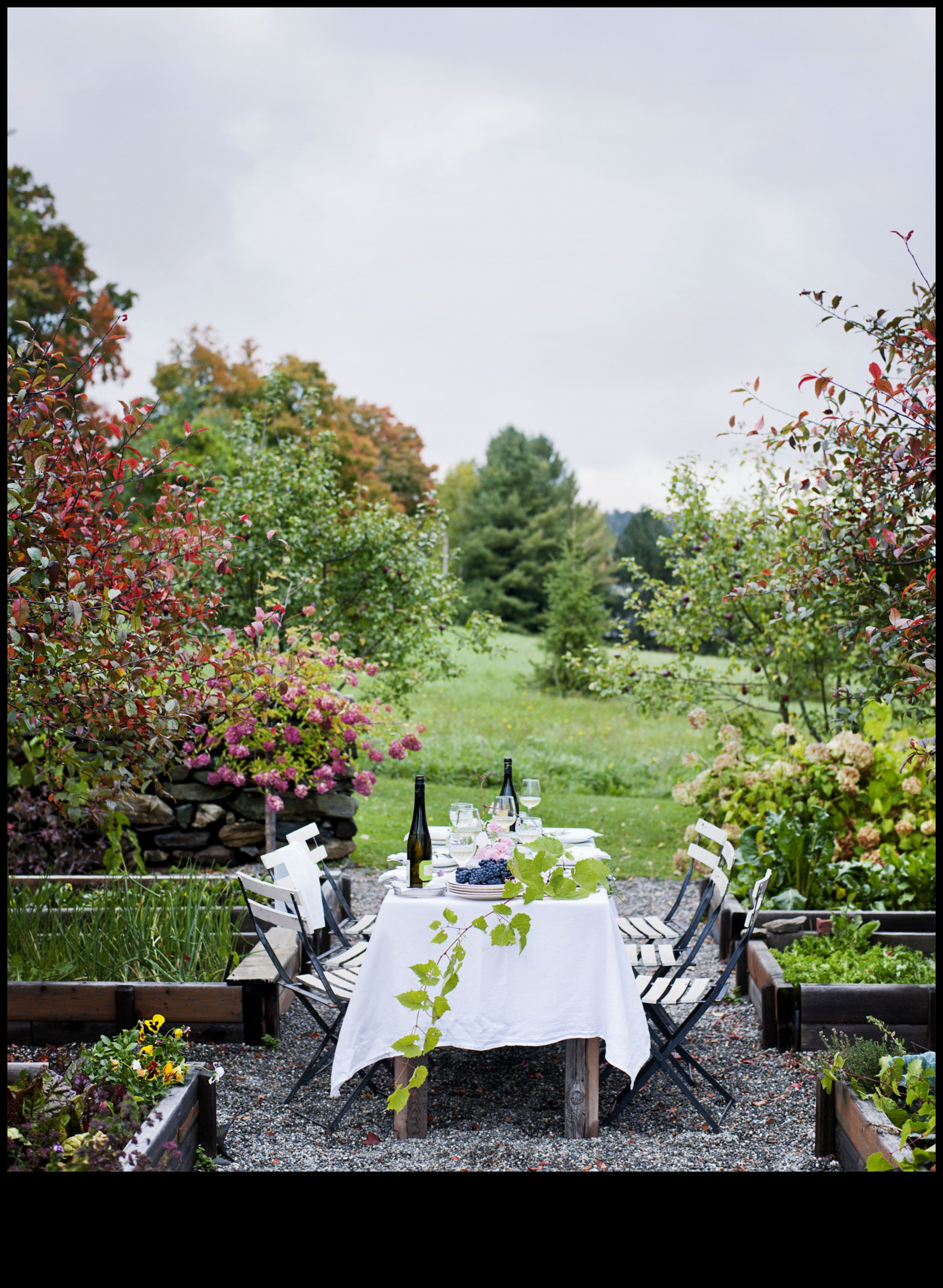 גנים בגודל חצי ליטר גינון מקורה Marvels חשף מדריך לגידול גנים יפים בחללים קטנים 5 גינות בגודל חצי ליטר: מופלאות גינון מקורה נחשפו