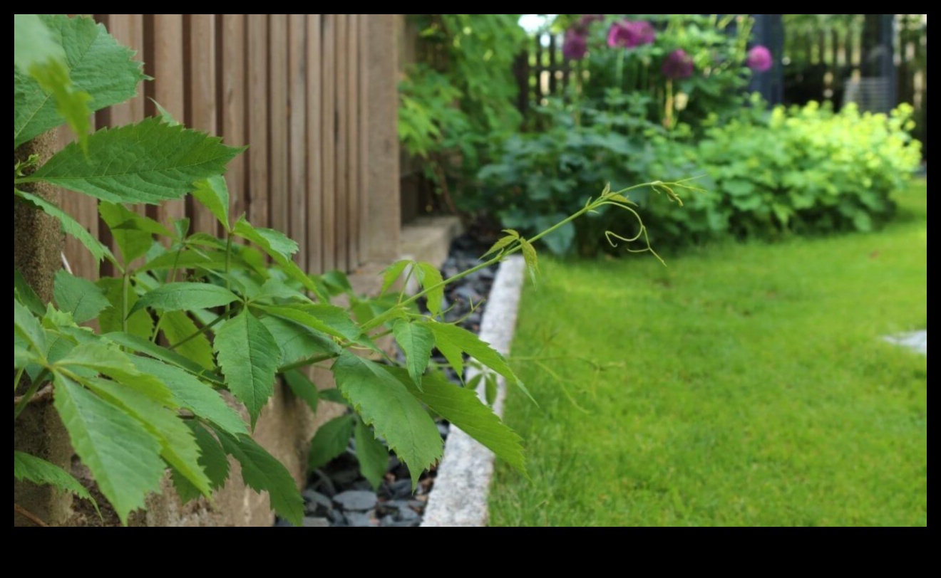 חברים ירוקים: סודות של הרמוניה מוצלחת בגן