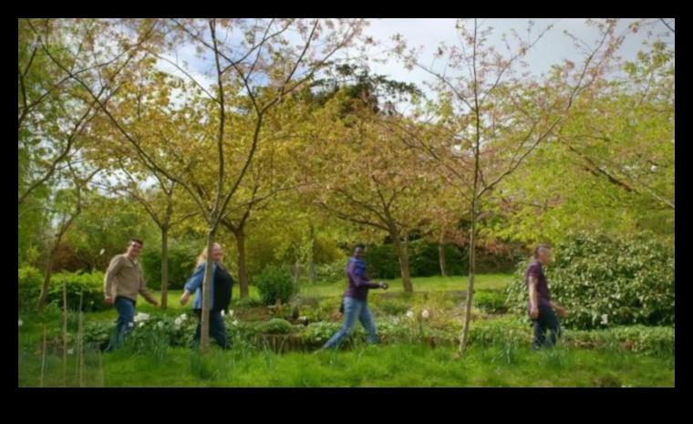 חברים ירוקים: סודות של הרמוניה מוצלחת בגן