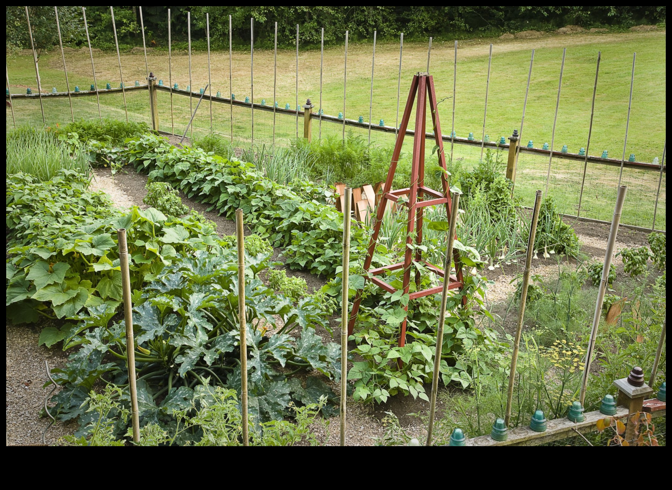 Critter Combat 5 דרכים לשמור על חיות גן במפרץ 4 Critter Combat: אסטרטגיות לשמירה על הגינה שלך