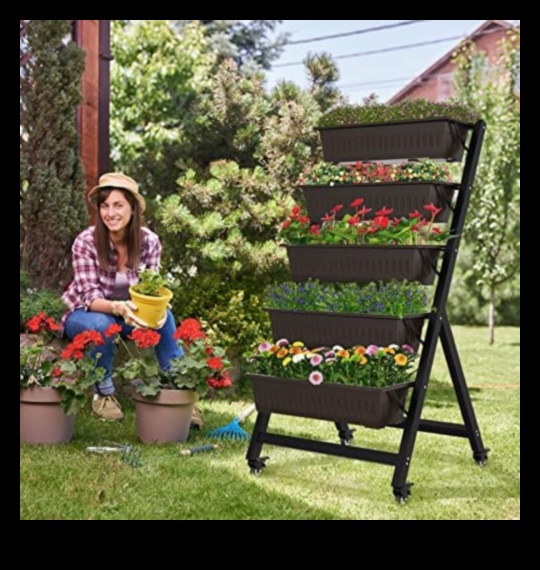 עלייה אנכית: פלאים פלאים בכל מימד