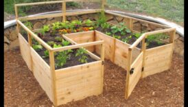 Critter Combat: אסטרטגיות לשמירה על הגינה שלך