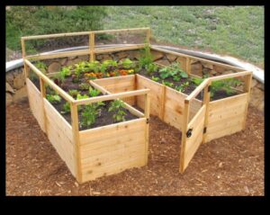 Critter Combat: אסטרטגיות לשמירה על הגינה שלך