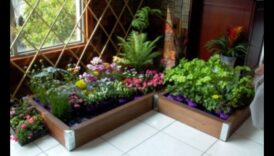 גינות בגודל חצי ליטר: מופלאות גינון מקורה נחשפו