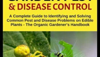 מאבק בחיידקי גן: מדריך גנן לשליטה במזיקים