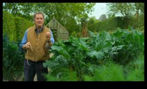 חברים ירוקים: סודות של הרמוניה מוצלחת בגן