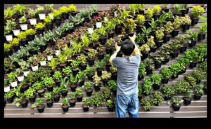 עלייה אנכית: פלאים פלאים בכל מימד