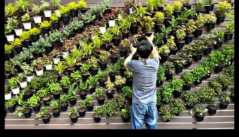 עלייה אנכית: פלאים פלאים בכל מימד