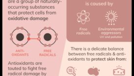 תפקידם של נוגדי חמצון בטיפוח העור: הגנה על העור מפני נזקים סביבתיים